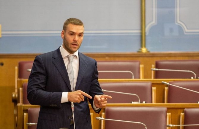 Rakočević: Sezona dokazala da je gašenje Montenegro Airlines pogrešna odluka vlasti 