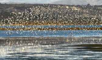 Nacionalni parkovi produžiće ugovor o zakupu Solane