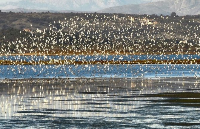 Nacionalni parkovi produžiće ugovor o zakupu Solane