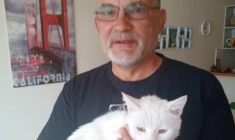 Mačak pobjegao nakon udesa u kanjonu Morače, vlasnik ga pronašao posle mjesec dana