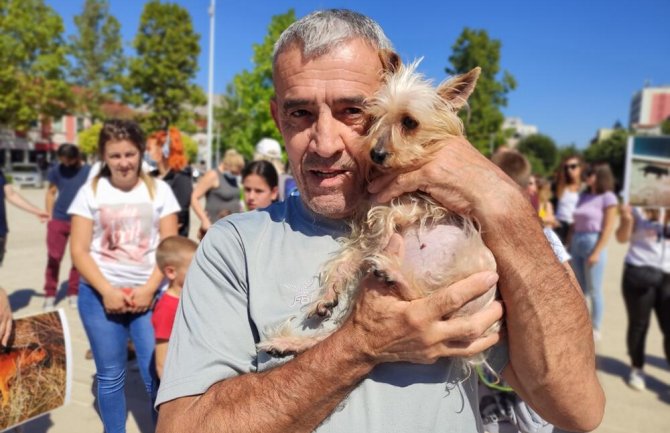 Nikšić: Stop trovanju pasa – stop preuzimanju stvari u svoje ruke