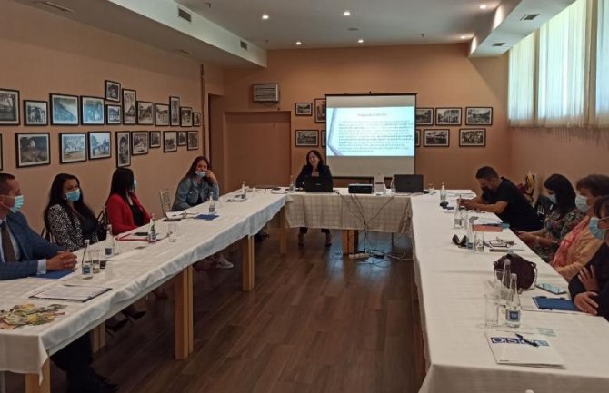 Misija OEBS -a u CG podržava prevenciju i borbu protiv nasilja u porodici na lokalnom nivou