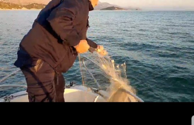  Spriječen krivolov u NP Skadarsko jezero u reonu Malo blato