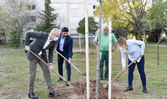 Glavni Grad u čast Republike Zabjelo zasadio 30 sadnica u Ul. Radosava Burića.
