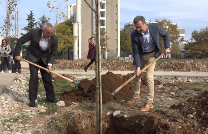 Počelo oplemenjavanja parkovske površine pored teničkih fakulteta