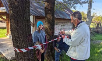 Sačuvati stabla skadarskog hrasta tokom rekonstrukcije Martinićkog puta