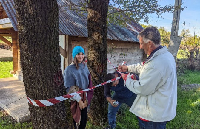 Sačuvati stabla skadarskog hrasta tokom rekonstrukcije Martinićkog puta