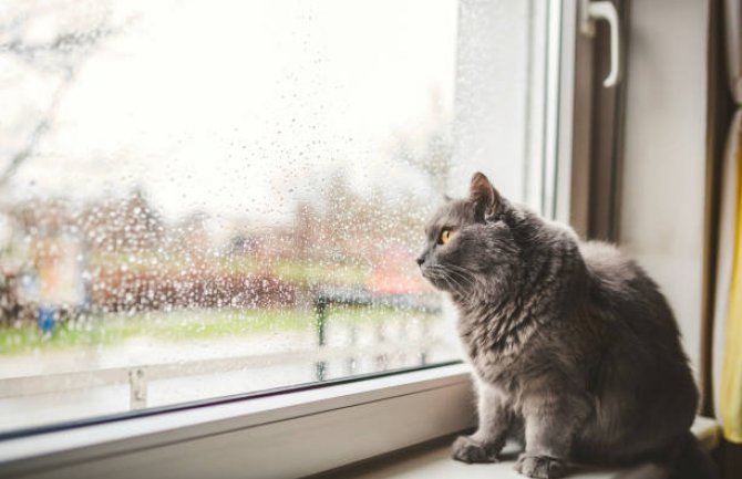 Promjenljivo oblačno, ponegdje slaba kiša 