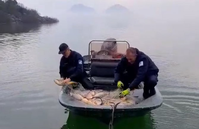 Tona šarana vraćena u Skadarsko jezero, zaplijenjene mreže