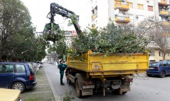 Otklanjaju posljedice nevremena, građani da ne parkiraju vozila pored stabala