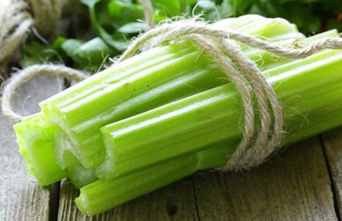 Celer odličan za probavu, srce, holesterol...