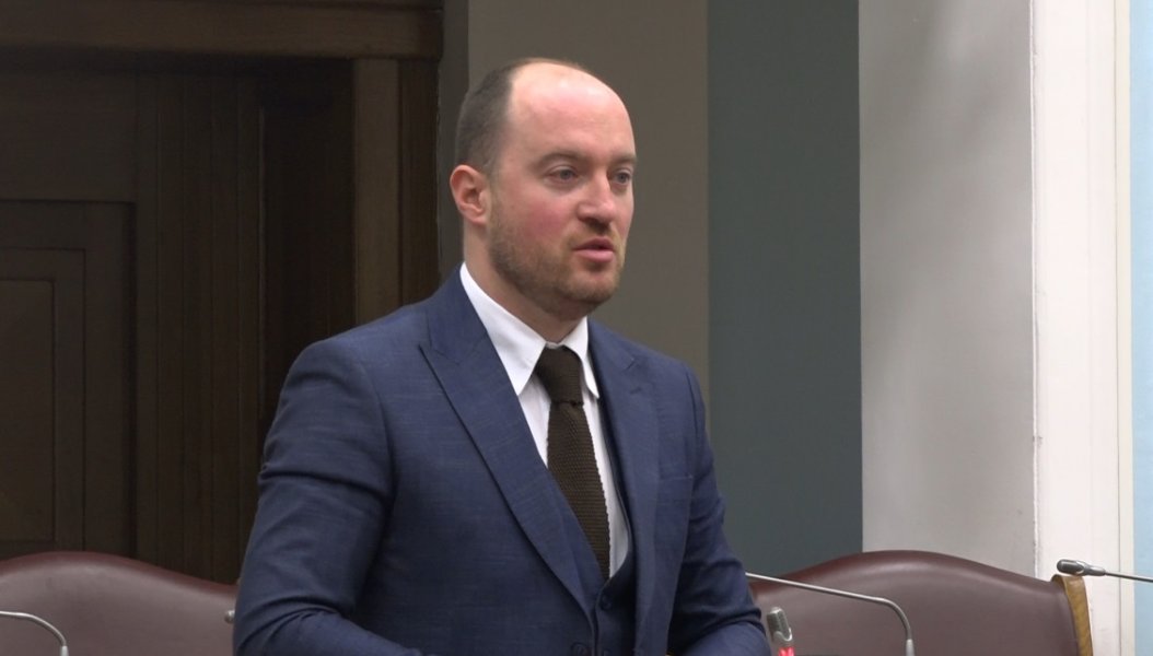 OdbornikSDPaMirkoStani