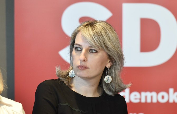 Nišić: Odlazeća Vlada druguje sa euroskepticima