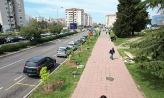 Bulevar u Baru još zeleniji, posađeno 50 sadnica 