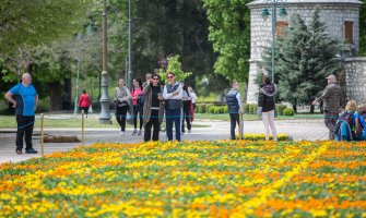 Otvoren cvjetni tepih na Cetinju povodom Dana Evrope, simbol prijateljstva i zajedničke svijetle budućnosti