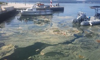 U Tivtu ponovo mrlje na površini mora: Aktivirani nadležni organi, zagađenje ili cvetanje mora?