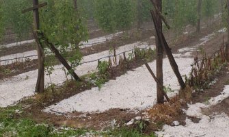 Bijelo Polje:  Radovićima grad uništio malinjake