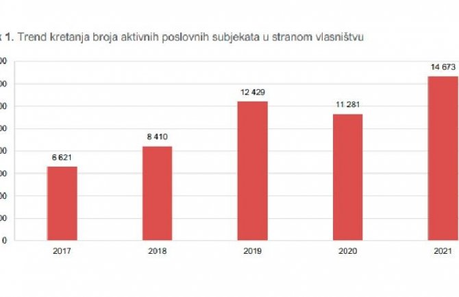 Najviše stranih kompanija u vlasništvu Turaka i Rusa