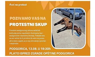 Protest ljubitelja životinja u subotu u Podgorici