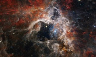 Teleskop Džejms Veb detaljno snimio područje Tarantule Nebule