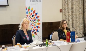 Đurović: Strankama su uskopartijski interesi iznad evropskih integracija