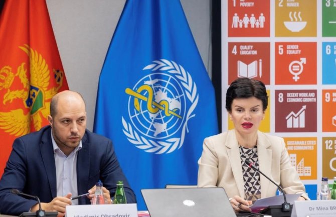 Brajović: Na svakom koraku savremeni čovjek višestruko izložen raznovrsnim hemikalijama u produženom trajanju