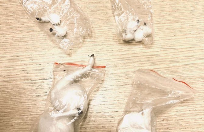 Podgoričanin uhapšen zbog ulične prodaje droge: Kod 20-godišnjaka pronađeno 24 grama kokaina