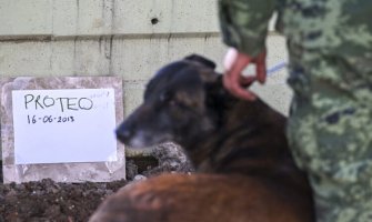 Meksički spasilački tim u Turskoj se oprostio od psa heroja