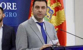 Vujović: Svakim danom nenormalno postaje sve više normalno