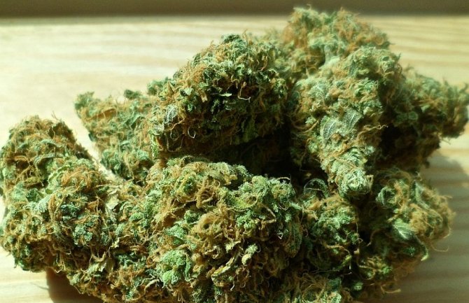 U Herceg Novom uhapšena osoba kod koje je pronađen kilogram marihuane