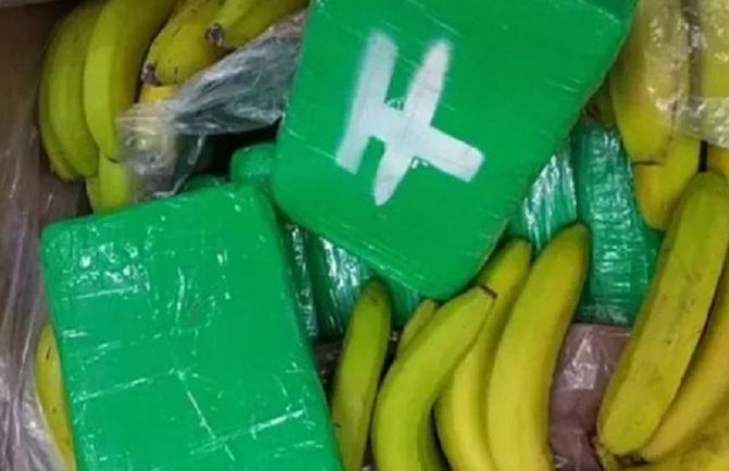 U pošiljci banana iz Ekvadora našli dvije tone kokaina