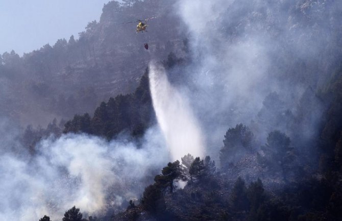 Vatra uništila gotovo hiljadu hektara zemlje na granici Francuske i Španije