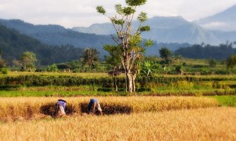 Bali uvodi takse za turiste