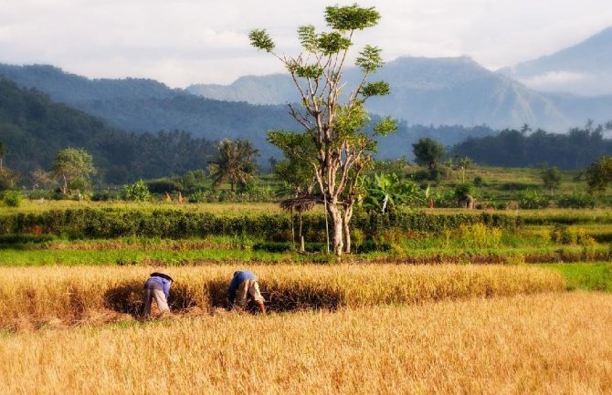 Bali uvodi takse za turiste