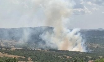 Plamti već sedam sati: Buknuo požar kod Bileće