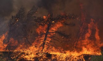 Zbog šumskog požara u Grčkoj evakuacija sedam sela