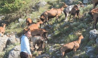 Državni posao zamijenio gazdinstvom u Ćeklićima