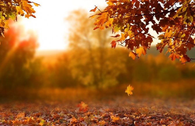 Danas počinje jesen