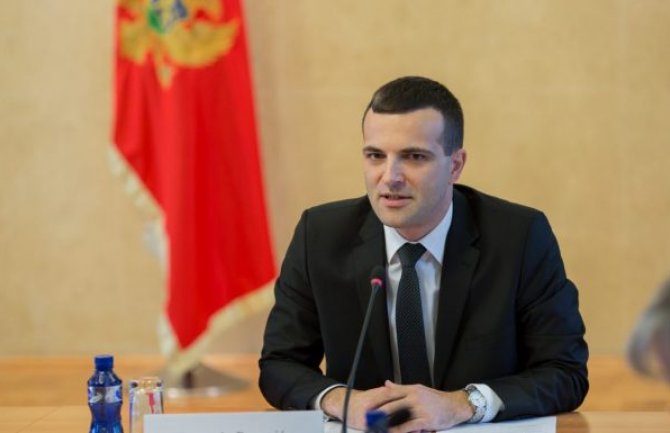 Papović: Strategija Srbije prema Crnoj Gori