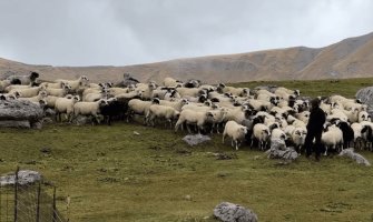 Tvrda je kora ‘ljeba i bez vukova