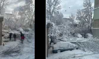 Troje mrtvih u Bugarskoj i Moldaviji: Zbog mećave otkazani letovi