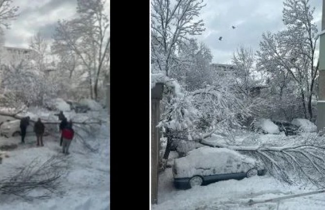 Troje mrtvih u Bugarskoj i Moldaviji: Zbog mećave otkazani letovi