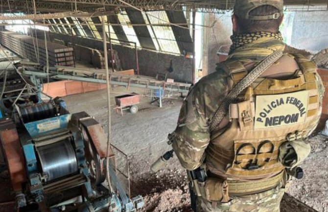 Interpol: U oktobru 500 uhapšenih pod sumnjom da su trgovali zaštićenim vrstama