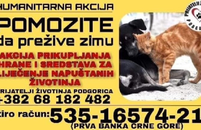 Humanitarna akcija za pomoć napuštenim životinjama da prežive zimu