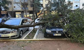 Podgorica: Vjetar lomi stabla