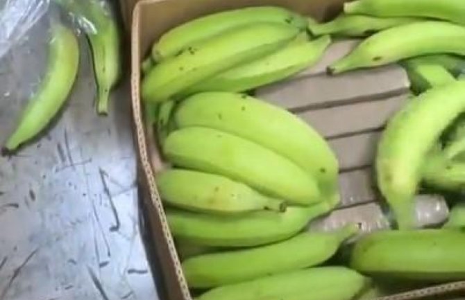  Kolumbijska policija u bananama pronašla 2,6 tona kokaina, bio namijenjen Balkancima