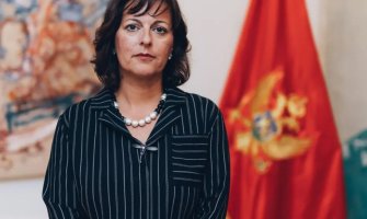 Vujović: Osuđujem uvrede i neprimjeren govor tokom ”suđenja karnevalu” u Herceg Novom