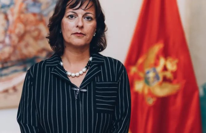 Vujović: Osuđujem uvrede i neprimjeren govor tokom ”suđenja karnevalu” u Herceg Novom