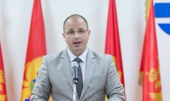 Milović: Nezakonitu kupovinu Željezaze od strane EPCG na kraju će platiti građani