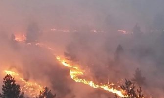 Požar u Pljevljima izmiče kontroli; Vraneš: Sazvaćemo opštinski krizni štab